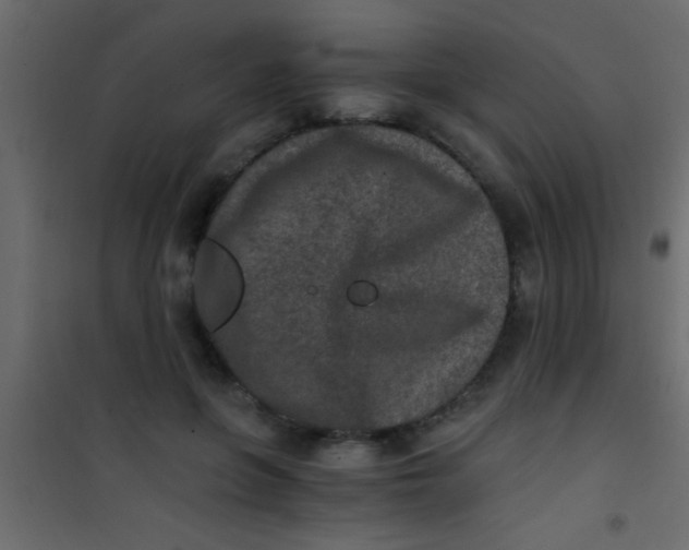 X0000101110551200807171939
