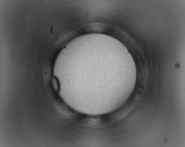X0000101110552200807171939