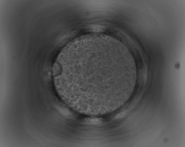 X0000101110553200807171939