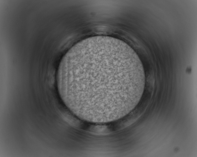X0000101110554200807171939