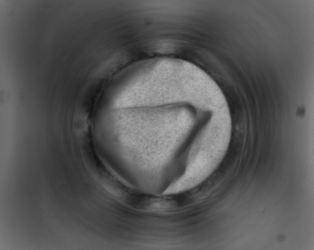 X0000101110555200807171939