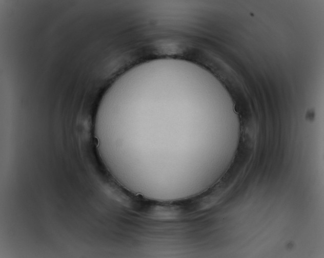 X0000101110556200807171939