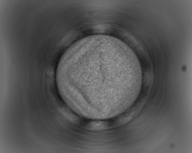 X0000101110557200807171939