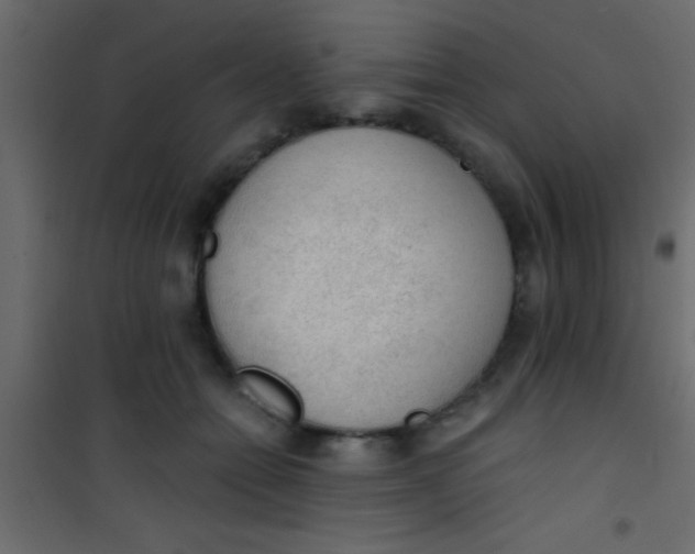 X0000101110558200807171939