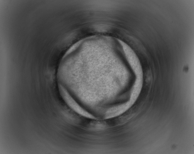 X0000101110559200807171939