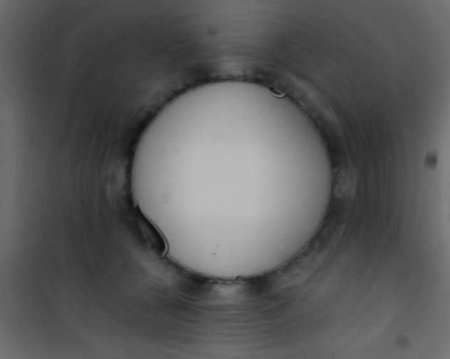 X0000101110560200807171939