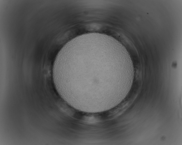 X0000101110561200807171939