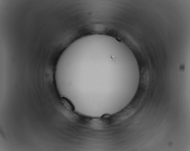 X0000101110562200807171939