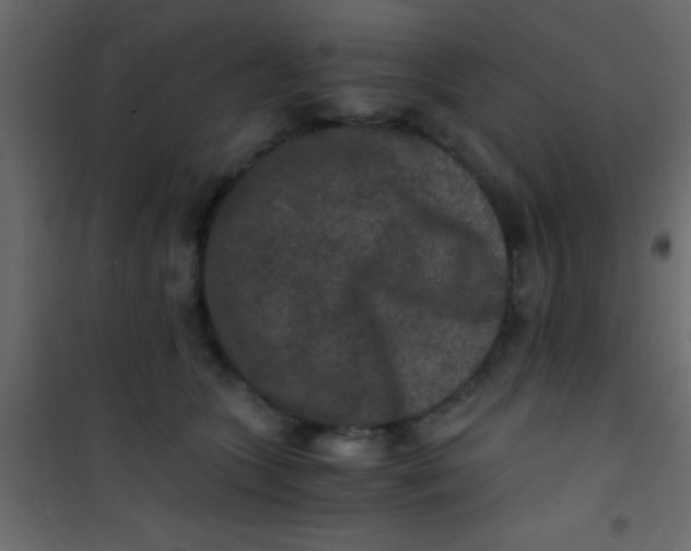 X0000101110563200807171939