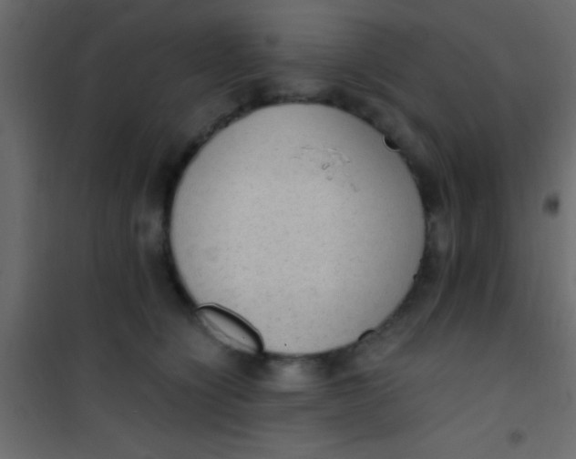 X0000101110564200807171939