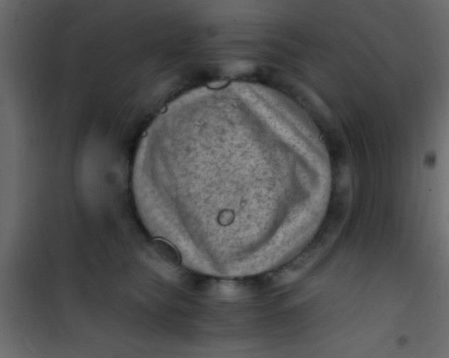 X0000101110565200807171939