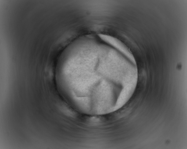 X0000101110566200807171939