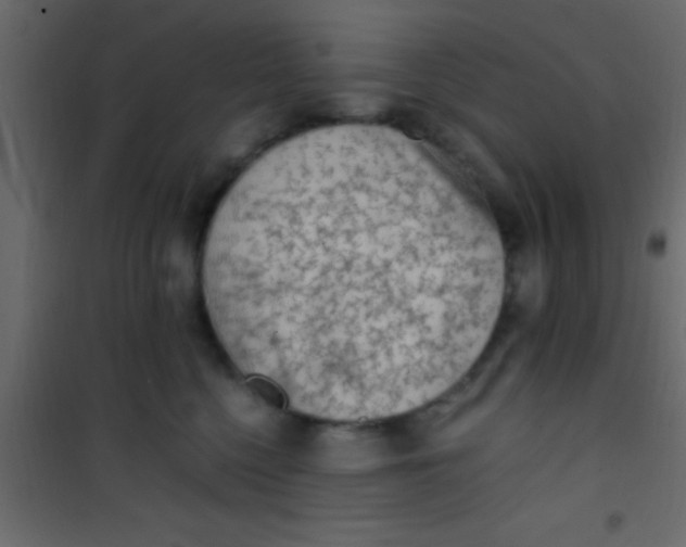 X0000101110568200807171939