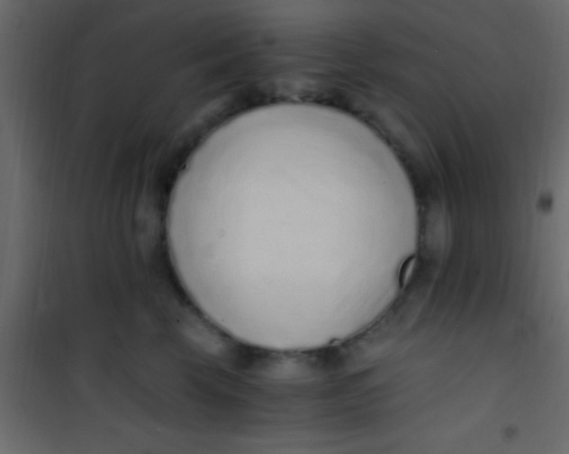 X0000101110569200807171939