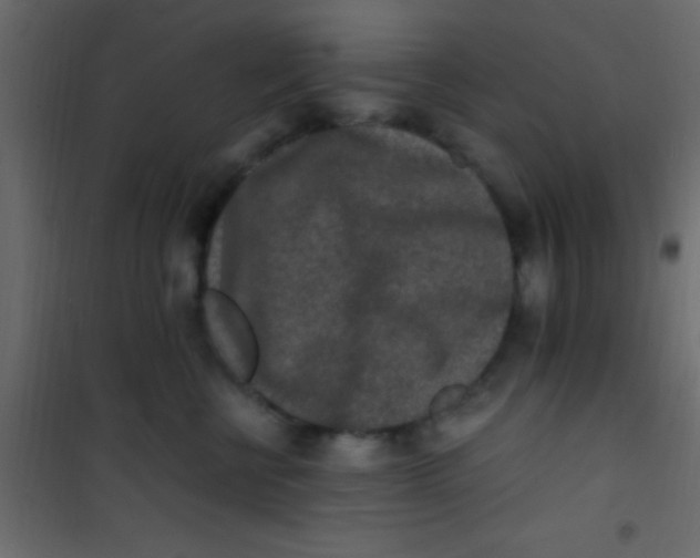 X0000101110570200807171939