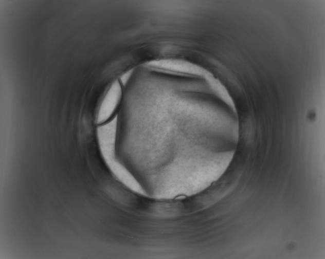 X0000101110571200807171939