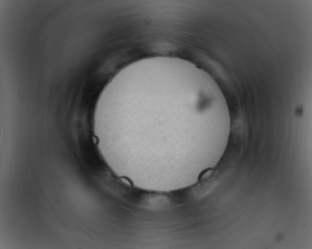 X0000101110572200807171939