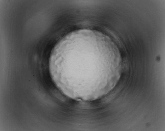 X0000101110573200807171939