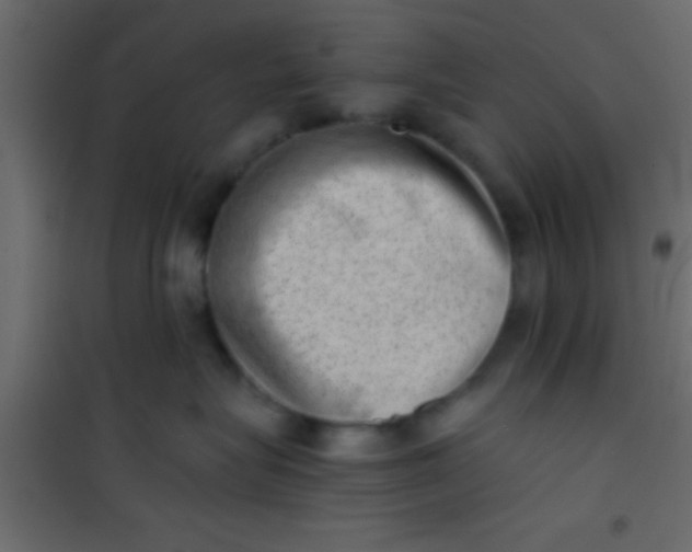 X0000101110575200807171939
