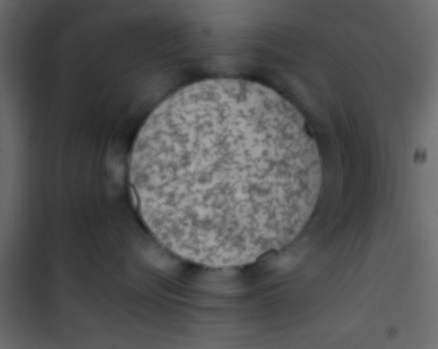 X0000101110576200807171939