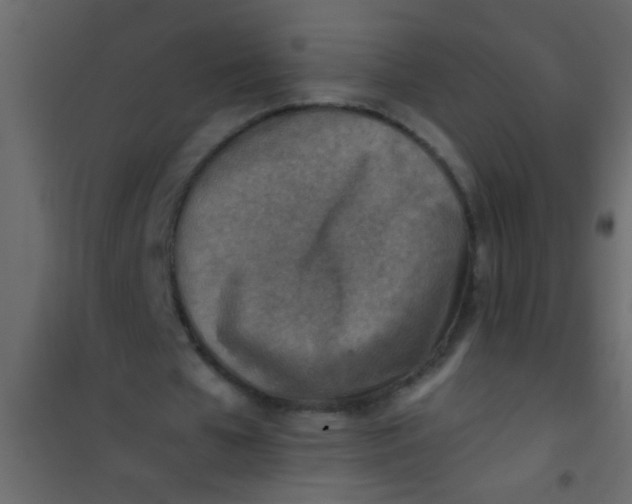 X0000101110577200807171938