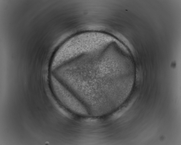 X0000101110581200807171938
