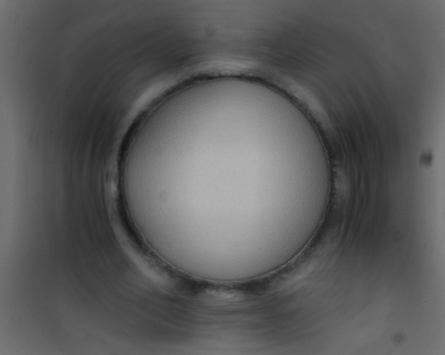 X0000101110582200807171938