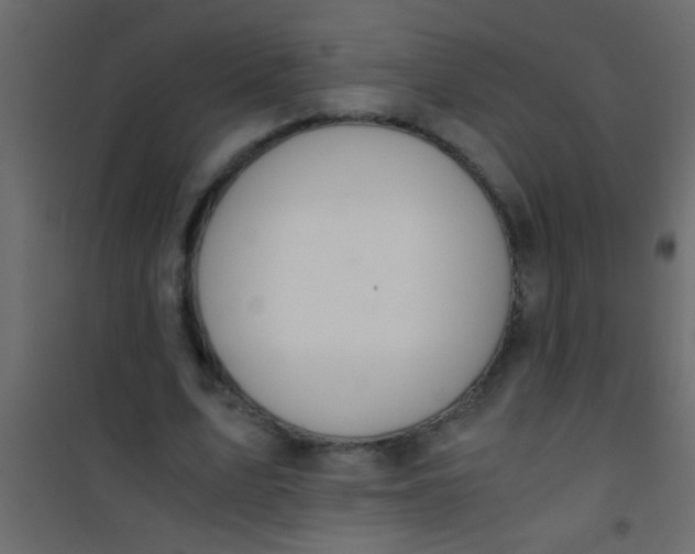 X0000101110583200807171938