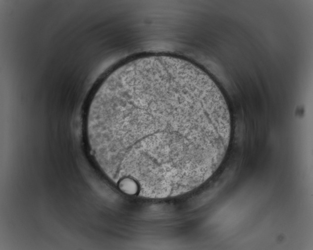 X0000101110584200807171938