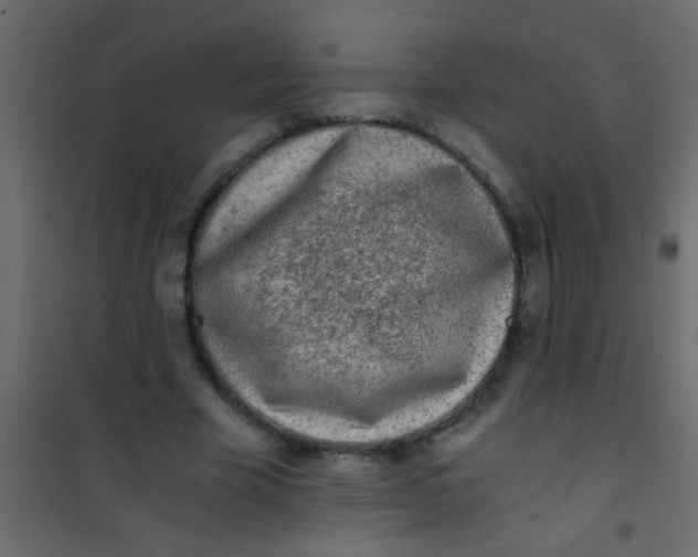 X0000101110585200807171938