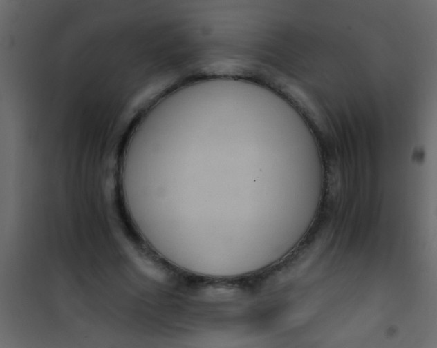 X0000101110586200807171938