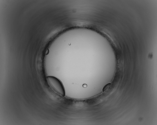 X0000101110587200807171938