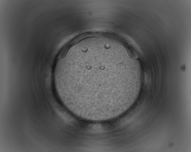 X0000101110588200807171938