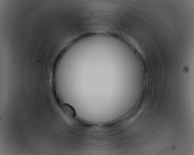 X0000101110589200807171938