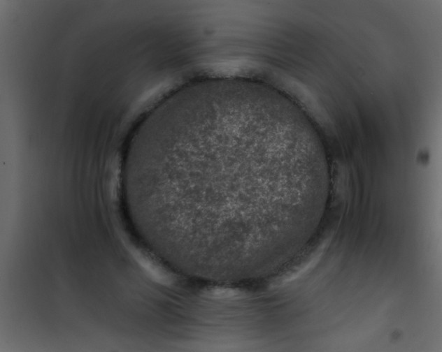 X0000101110590200807171938
