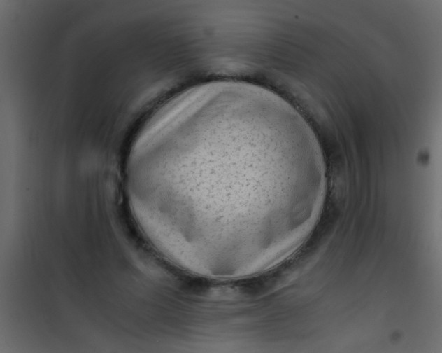 X0000101110591200807171938