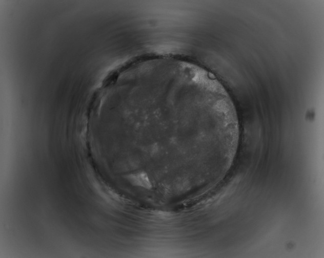 X0000101110592200807171938