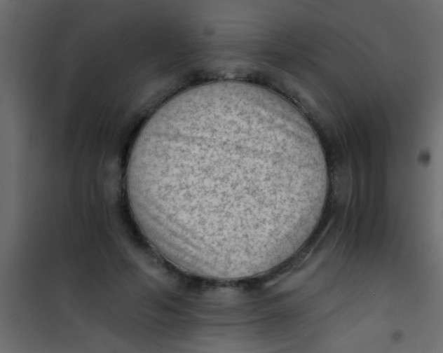 X0000101110594200807171938