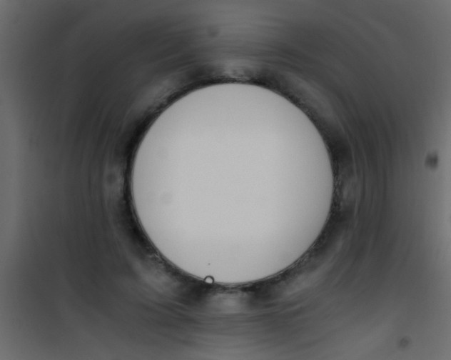 X0000101110595200807171938