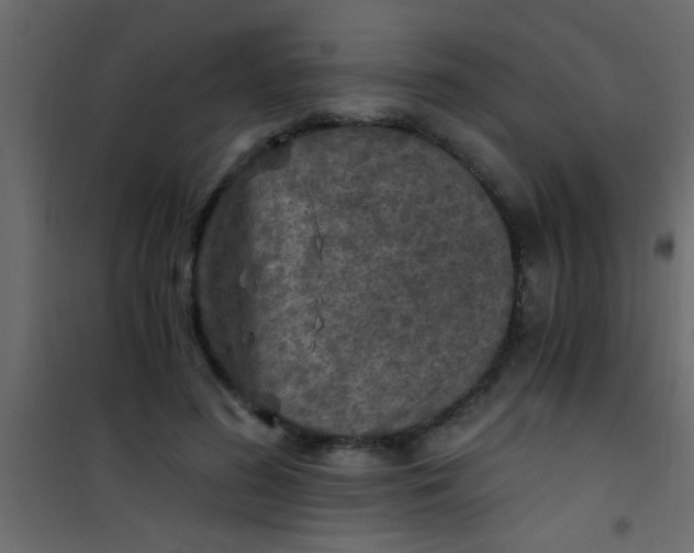 X0000101110596200807171938