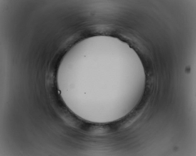 X0000101110597200807171938