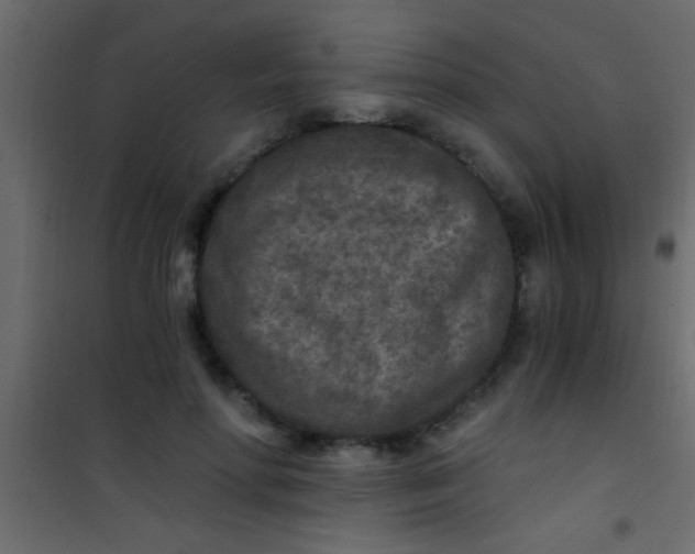 X0000101110598200807171938