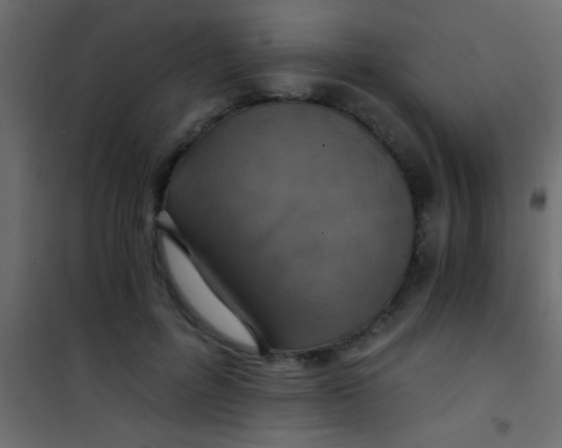 X0000101110600200807171938