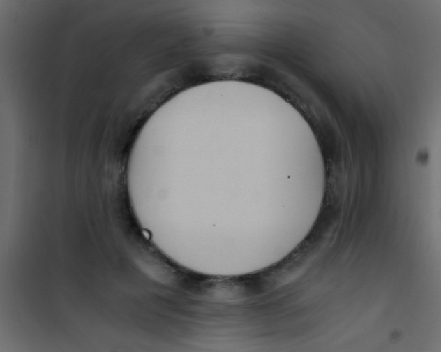 X0000101110601200807171938