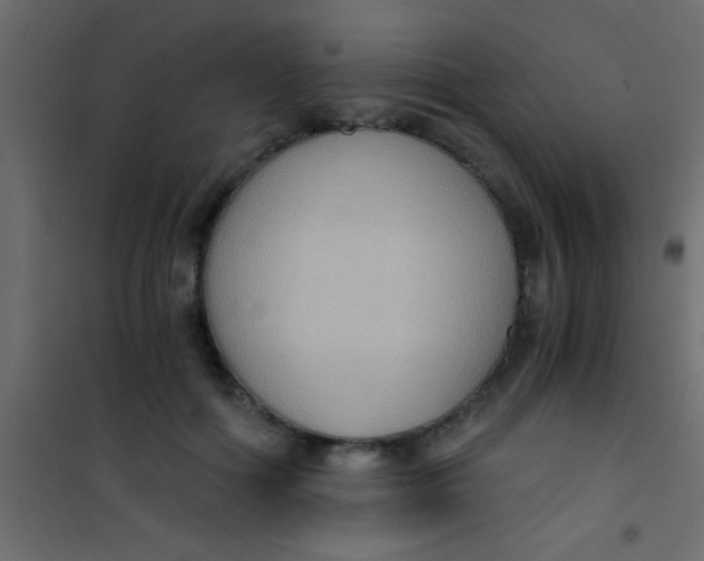 X0000101110602200807171938