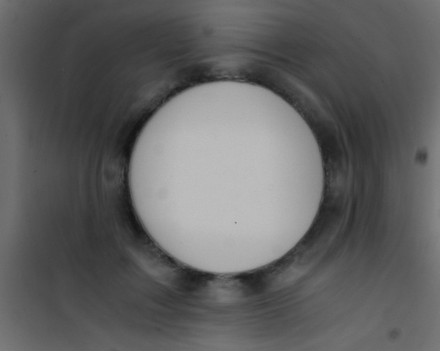 X0000101110603200807171938