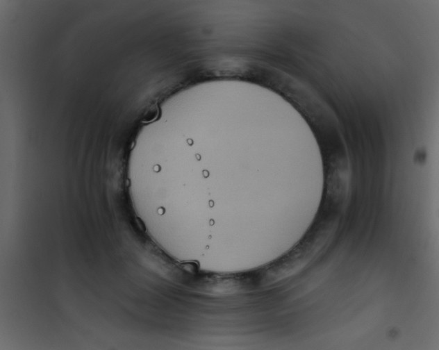 X0000101110604200807171938