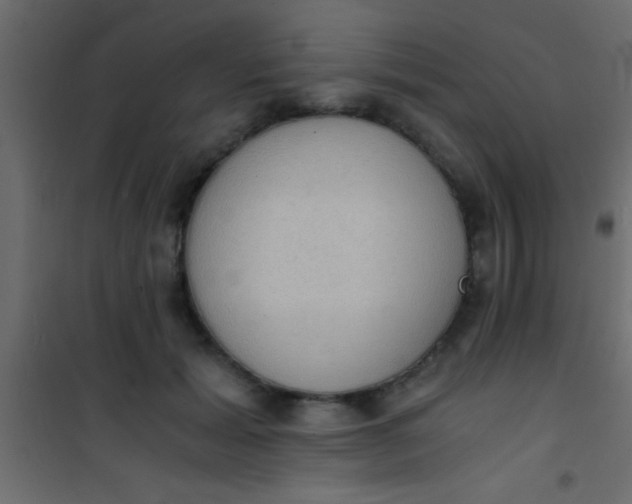 X0000101110605200807171938