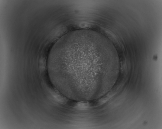 X0000101110606200807171938