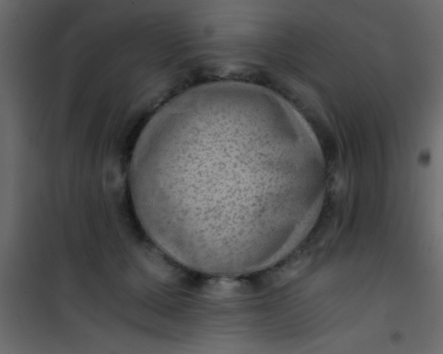 X0000101110607200807171938